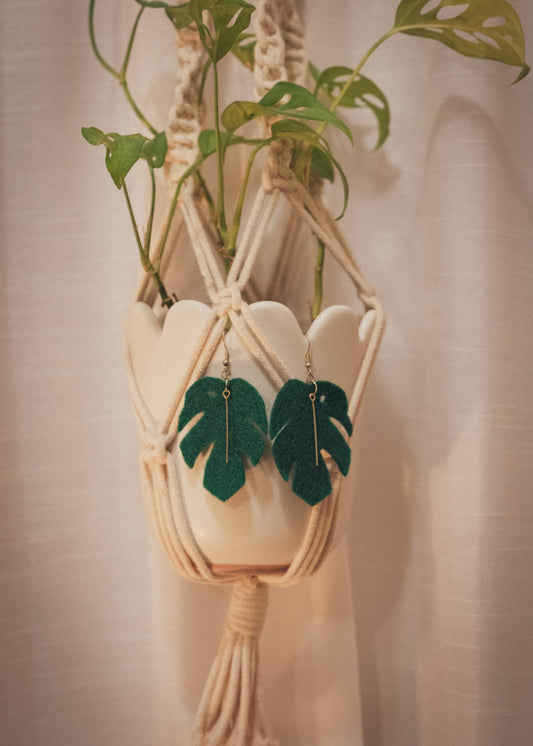 Jungle Monstera leaf felt earrings hanging on a sweet potted Monstera Deliciosa plant